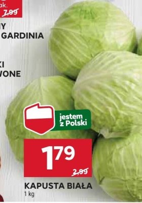 Kapusta biała promocja w Stokrotka