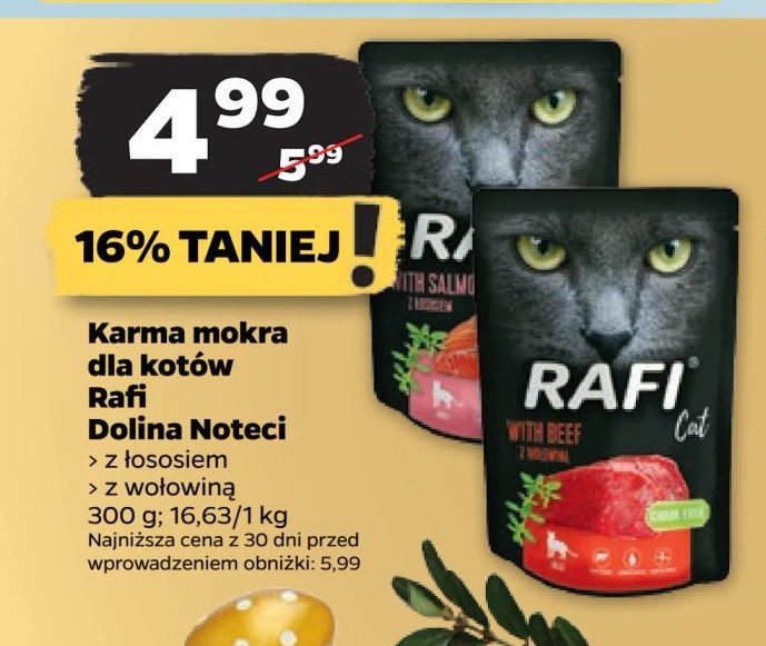 Karma dla kota z wołowina Rafi cat promocja