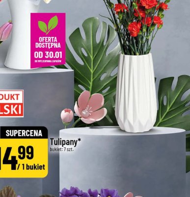 Tulipany bukiet 7 szt promocja w POLOmarket