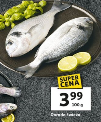 Dorada świeża promocja w Auchan