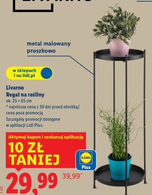 Regał na rośliny Livarno promocja w Lidl