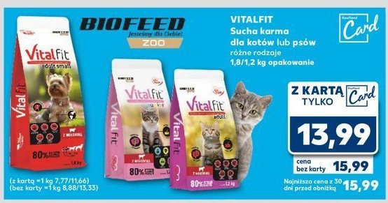 Karma dla kota z wołowina Biofeed vitalfit promocja