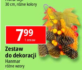 Zestaw do dekoracji Hanmar promocja