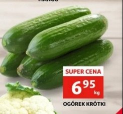 Ogórki krótkie promocja