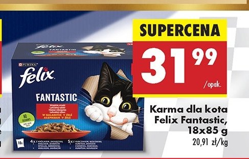 Karma dla kota wiejskie smaki w galarecie Purina felix fantastic promocja w Biedronka