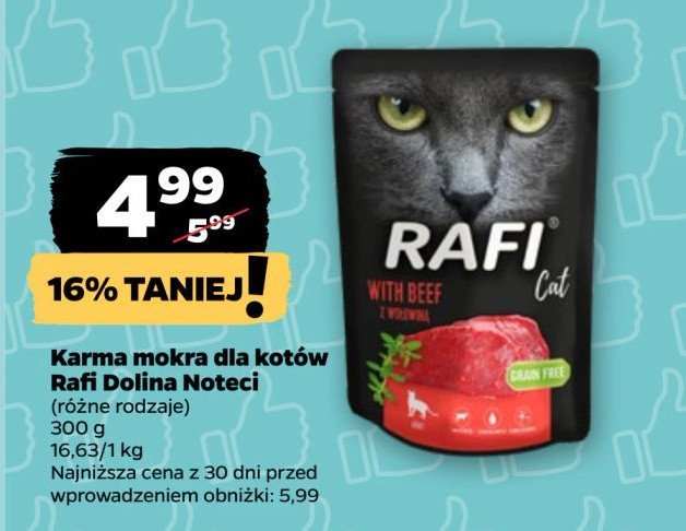 Karma dla kota z wołowina Rafi cat promocja