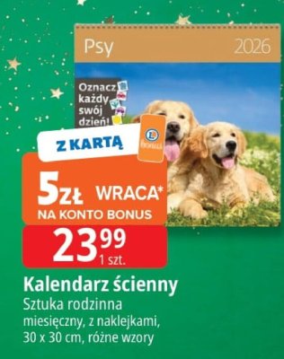 Kalendarz ścienny Psy promocja w Leclerc