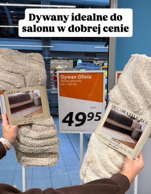 Dywan Olivia różne warianty 60 x 120 cm promocja w Action