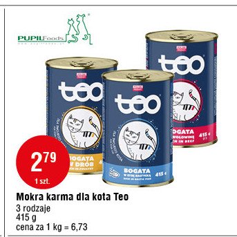 Karma dla kota z wołowiną Teo promocja w Carrefour