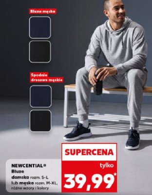 Bluza męska promocja w Kaufland