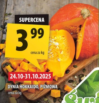 Dynia Hokkaido Arhelan promocja w Arhelan