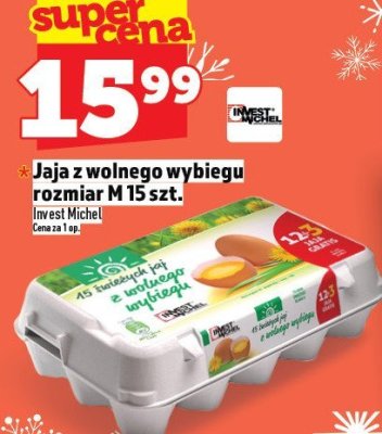 Jaja z wolnego wybiegu rozmiar M 15 szt. Invest Michel promocja w TOPAZ