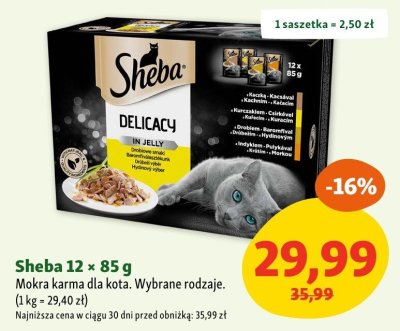 Gazetka, strona 4 promocja w MAXI ZOO