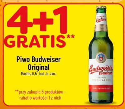 Piwo promocja w POLOmarket