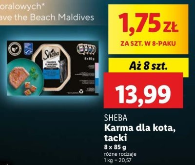 Karma dla kota z łosośiem Sheba promocja