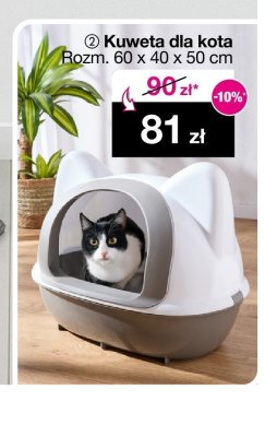 Kuweta promocja w Woolworth