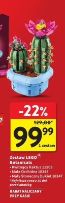Zestaw LEGO Botanicals (Kwitnący Kaktus 11509, Mała Orchidea 10343, Mały Słoneczny bukiet 10347) promocja w Intermarche