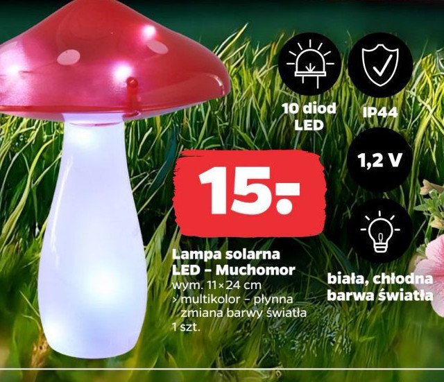 Lampa solarna muchomor promocja