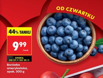 Borówka amerykańska promocja w Biedronka