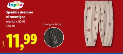 Spodnie dresowe niemowlęce  promocja w Lidl