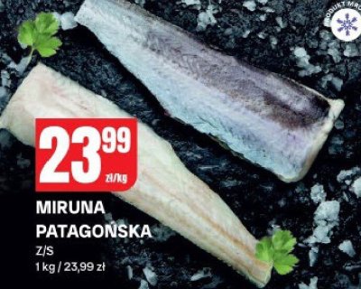 Ryba Miruna Patagońska z/s promocja w Chorten