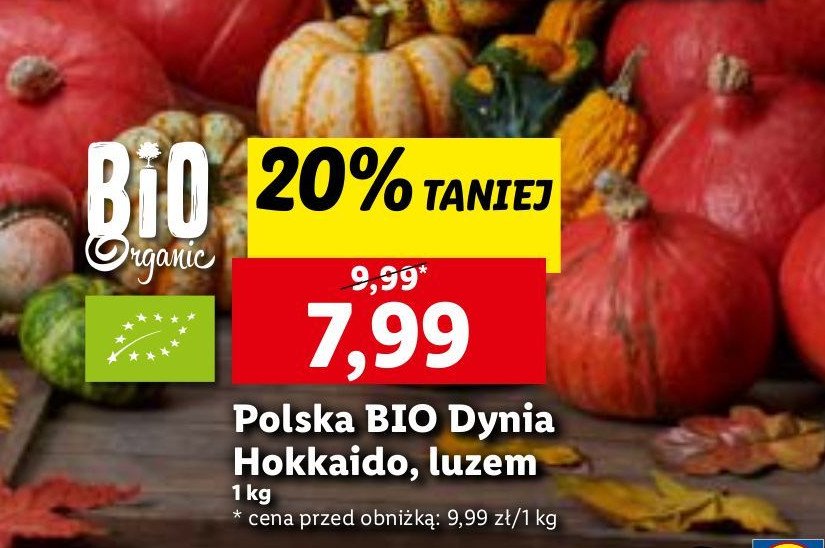 Dynia hokkaido bio Bio organic promocja w Lidl