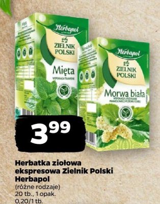 Herbatka ziołowa ekspresowa Zielnik Polski, różne rodzaje promocja w Netto