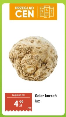 Seler korzeń luz promocja w Biedronka