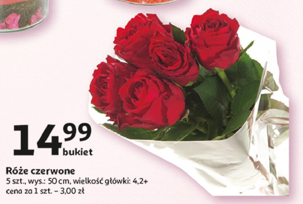 Róże czerwone 50 cm promocja