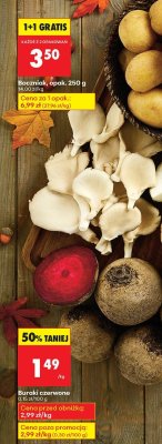 Boczniak, opak. 250 g promocja w Biedronka