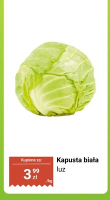 Kapusta biała luz promocja w Biedronka
