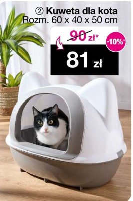 Kuweta dla kota 60x40x50 cm promocja w Woolworth