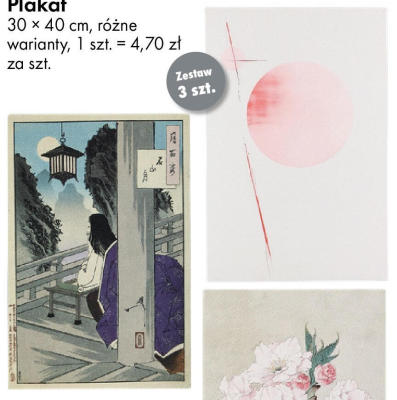 Plakat 30 × 40 cm różne warianty promocja w Tedi