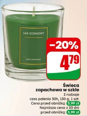 Świeca zapachowa w szkle Las Sosnowy promocja w Dino