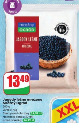 Jagody leśne mrożone Mrożny Ogród promocja w Dino