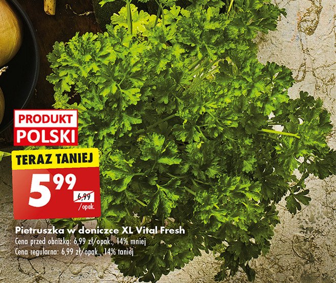 Pietruszka Vital fresh promocja