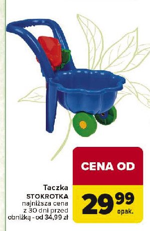 Taczka stokrotka promocja w Carrefour