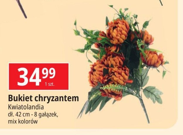 Bukiet chryzantem Kwiatolandia promocja