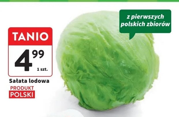 Sałata lodowa polska kl.i promocja