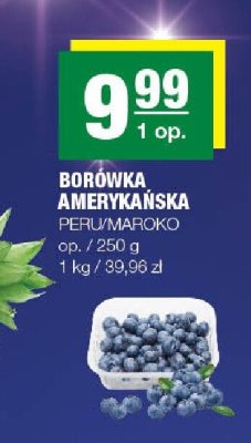 Borówka amerykańska Peru/Maroko promocja w SPAR