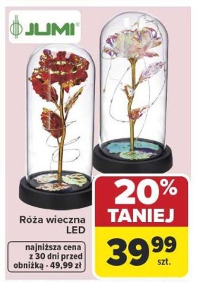 Róża wieczna LED JUMI promocja w Carrefour Market