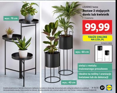 Zestaw 2 stojących donic LIVARNO HOME promocja