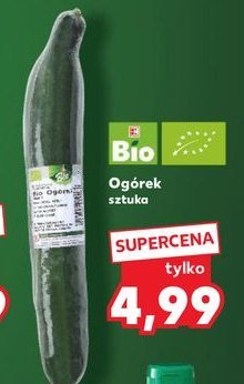 Ogórek K-classic bio promocja w Kaufland