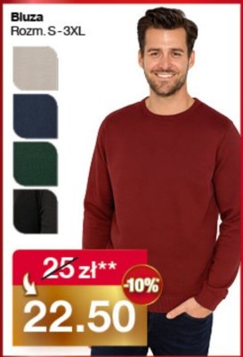 Bluza m臋ska m-xxl Adidas promocja w Woolworth