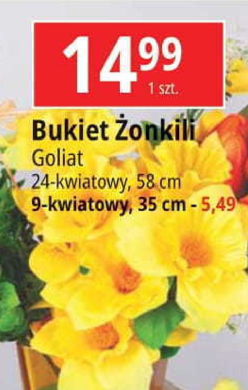 Bukiet 偶onkili Goliat promocja