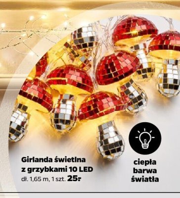 Girlanda świetlna z grzybkami 10 LED dł. 1,65 m promocja w Netto