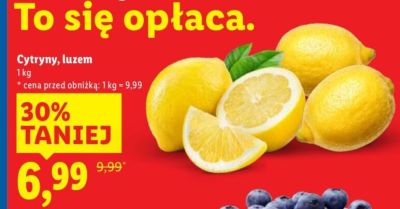 Cytryny promocja w Lidl