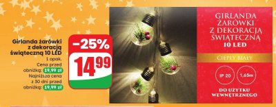 Girlanda żarówki z dekoracją świąteczną 10 LED promocja w Dino