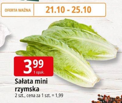 Sa艂ata promocja w Leclerc