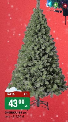 Choinka promocja w bi1